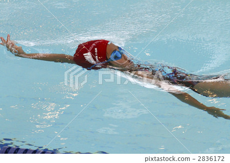 Backstroke start 2836172