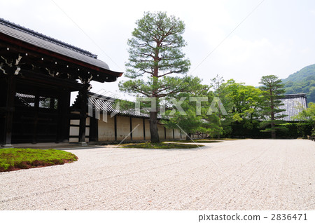 Tenryu temple  2836471
