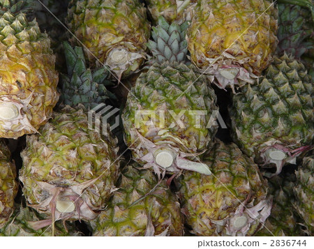 Mountain pineapple (Siem Reap / Cambodia) Mountain pineapple (Siem Reap / Cambodia) 2836744