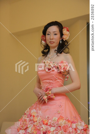 bride bride 2836892