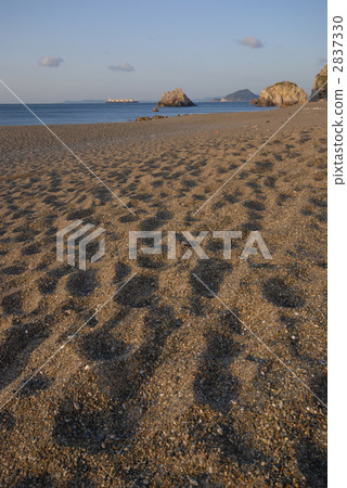 landscape, scenery, scenic 2837330