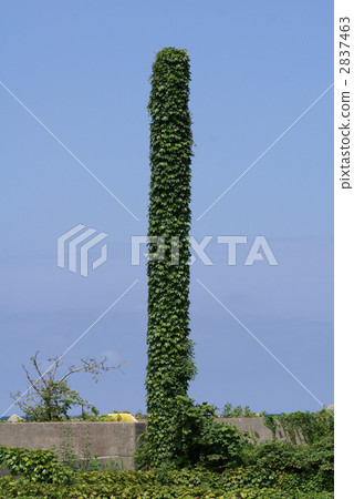 煙囪通風 煙囪柱 煙囪 2837463