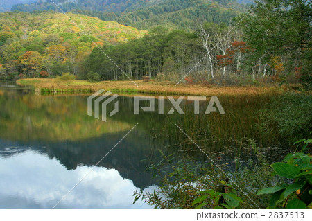 鏡池 湖泊 湖 2837513