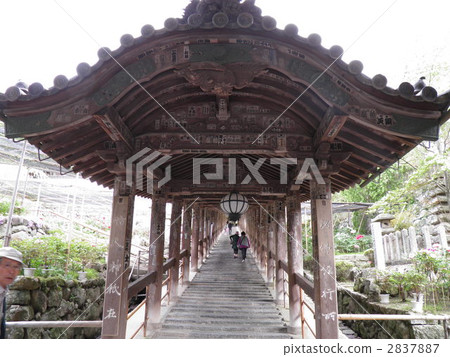 Hase-dera時代 2837887