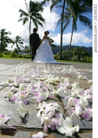 婚禮開花南島夏威夷 2838032