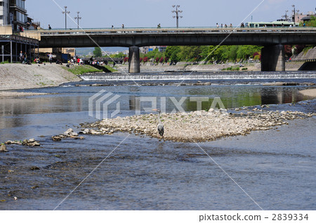 Kyoto Kamogawa Shijo Ohashi-10 2839334