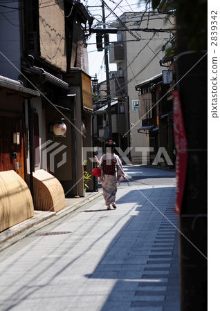 Geiko hurrying up Gion Miyagawa Town Geiko hurrying up Gion Miyagawa Town 2839342