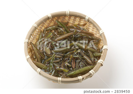 water shield, food, foods 2839450