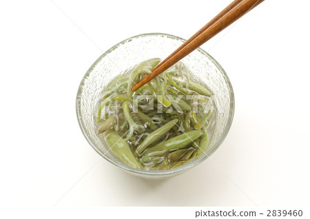 水盾 醃菜 食物 2839460