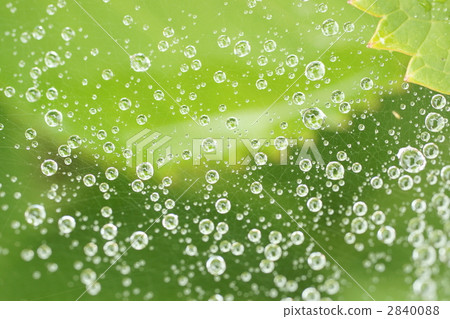 水滴多個面孔 2840088