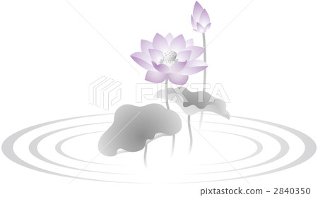 蓮花 2840350
