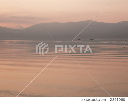 lake yamanaka, swan, swans 2841060