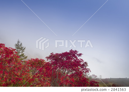 Autumn leaves and blue sky of Nanakamado 2841563