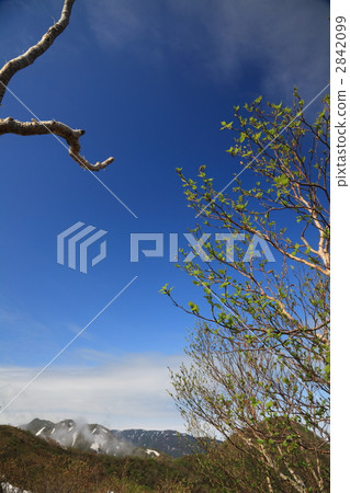 從Taiwa峰頂的風景 2842099