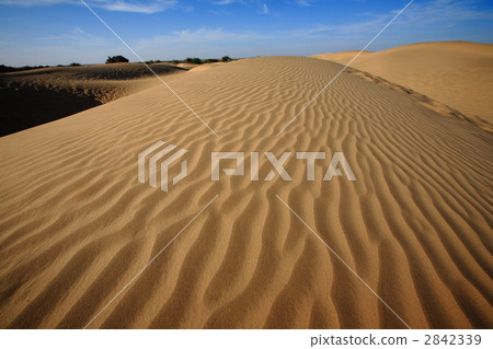 Tar Desert (Jaisalmer) Tar Desert (Jaisalmer) 2842339