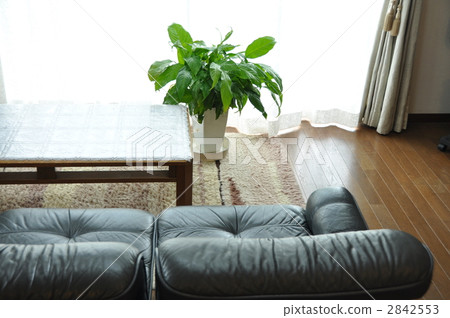 Living with spatialism 2842553