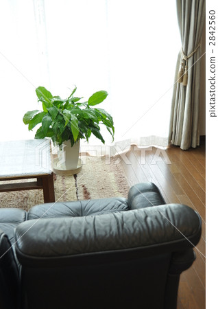 與空間主義共存 2842560