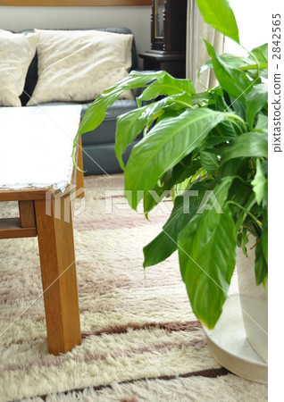 Living with spatialism 2842565