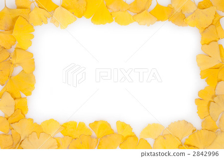 Ginkgo frame Ginkgo frame 2842996