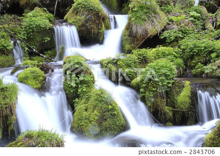 Mountain stream 2843706