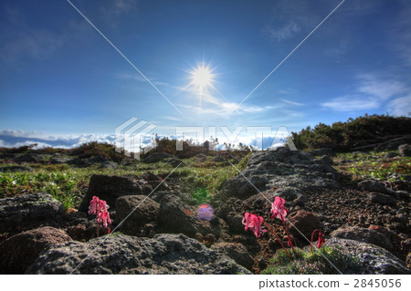 Sun and Cumkusa Sun and Cumkusa 2845056