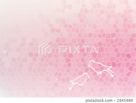 Spring Birds 2845980