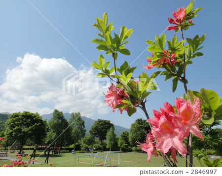 卡塔吉公園 2846997