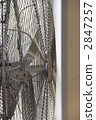 電扇 2847257