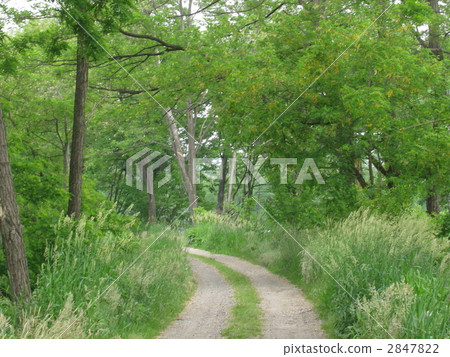 Nagano Prefecture Azumino Seseragi no Koji [Landscape/sightseeing spot] 2847822