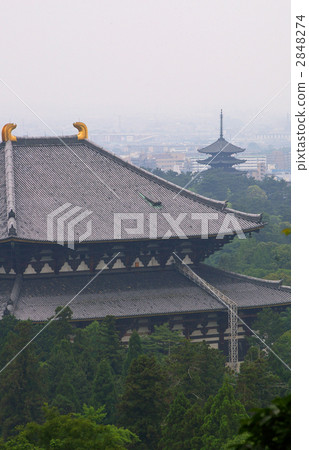 佛像和五層pag 佛像和五層pag 2848274