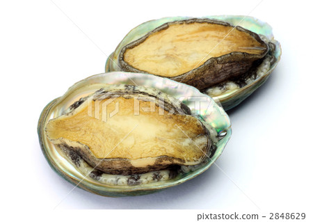 Abalone Abalone 2848629