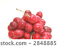 food, foods, fruit 2848885