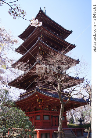 老·Kanonaga-ji 5層塔 老·Kanonaga-ji 5層塔 2849161