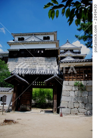 Matsuyama Castle purple bamboo gate 2849430