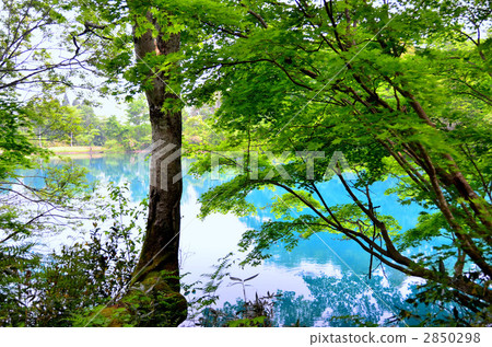 Niigata prefecture Shiro Ike no Mori 2850298