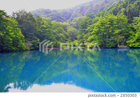 新潟縣Shiro Ike no Mori 2850303