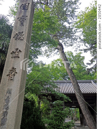National Treasures Ten Kanon Kannon Temple of Castle Temple National Treasures Ten Kanon Kannon Temple of Castle Temple 2850442