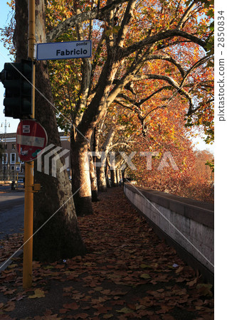 Roadside tree  2850834