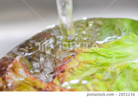 洗滌 生菜 洗過的 2851216