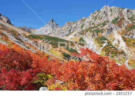 Yagetake Yagetake 2851257