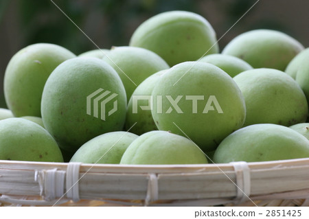 unripe plum, food, foods 2851425