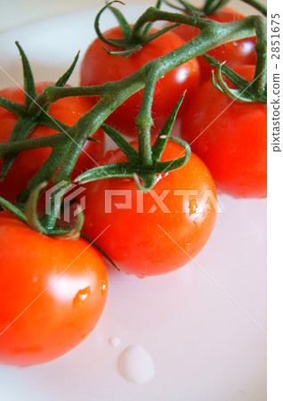 食物 美食 食品 2851675