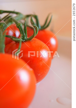 食物 美食 食品 2851679