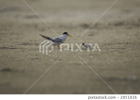 照顧父母和孩子2 2851816