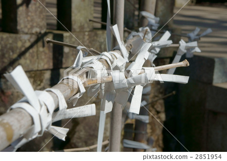 written oracle, written fortune, kumamoto prefecture 2851954