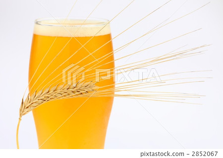 小麥和啤酒 2852067