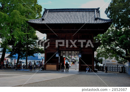 椿神社 椿神社 2852087