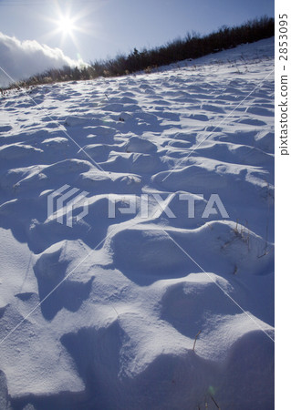 白馬滑雪場 2853095