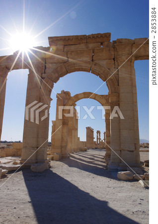 巴爾米拉仍然存在 2853884