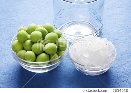 Making plum wine 2854058